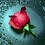 vedant_shelat